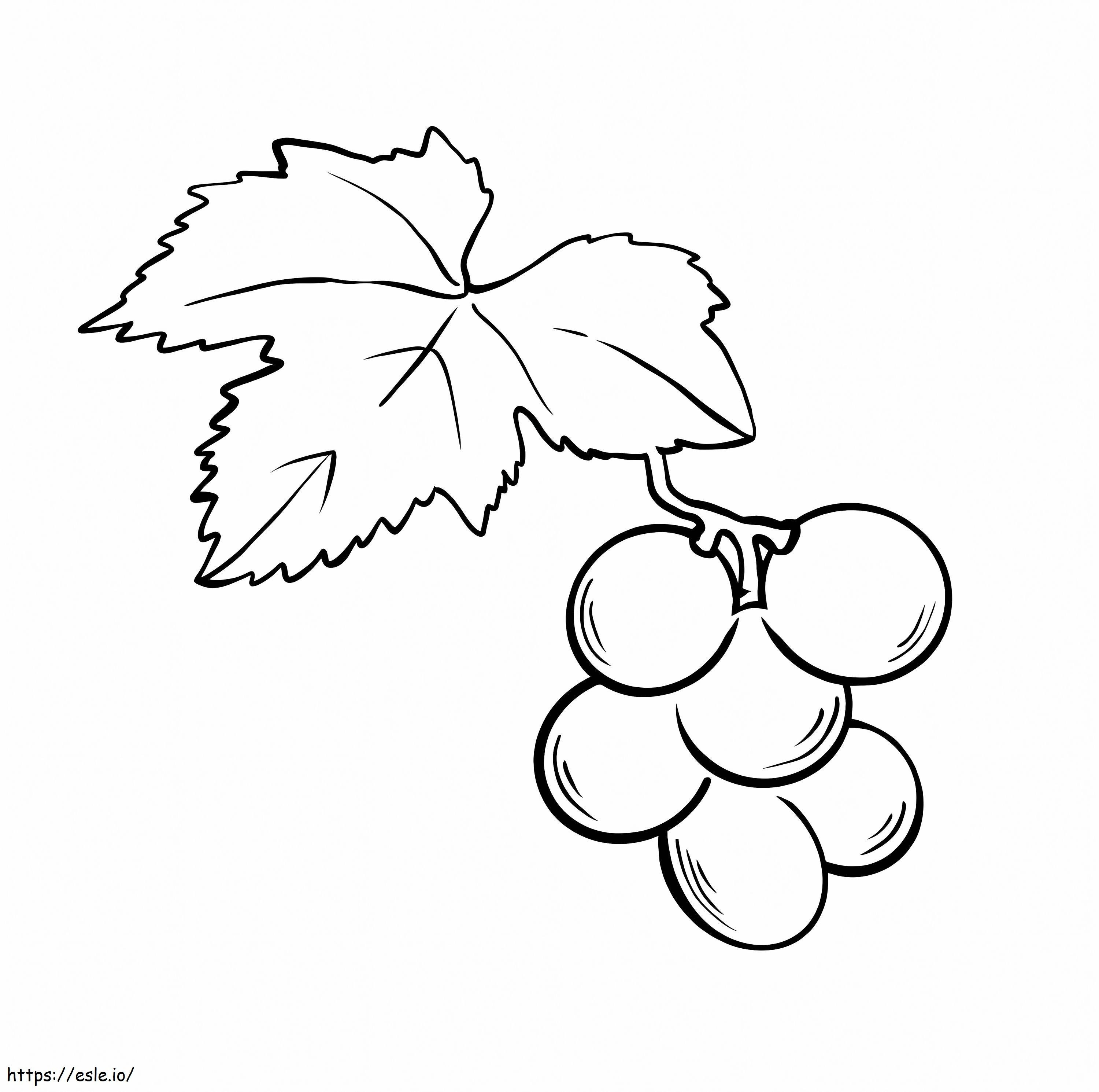 Coloriage Raisins avec feuille à imprimer dessin