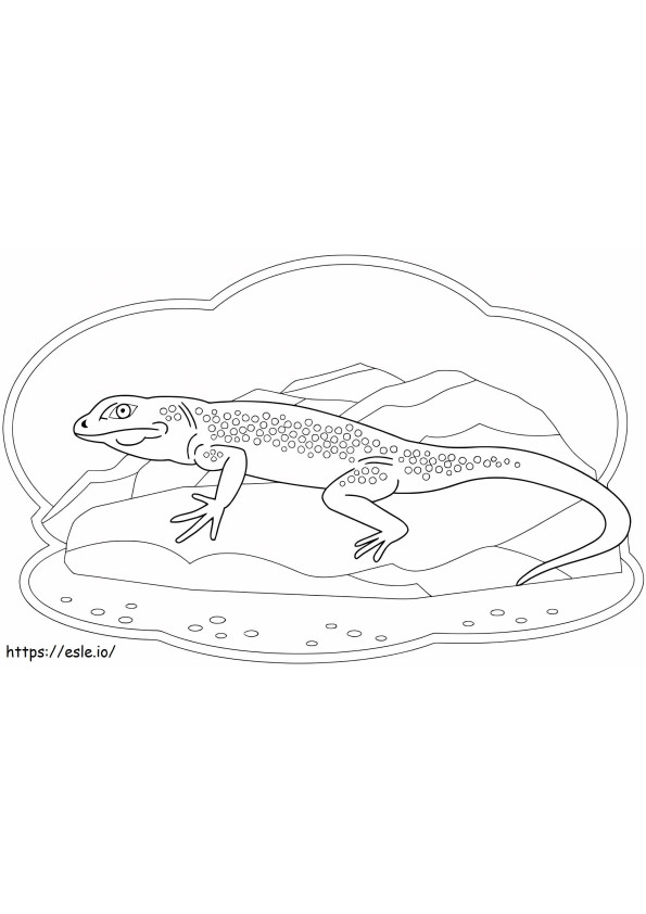 Nice Lizard coloring page