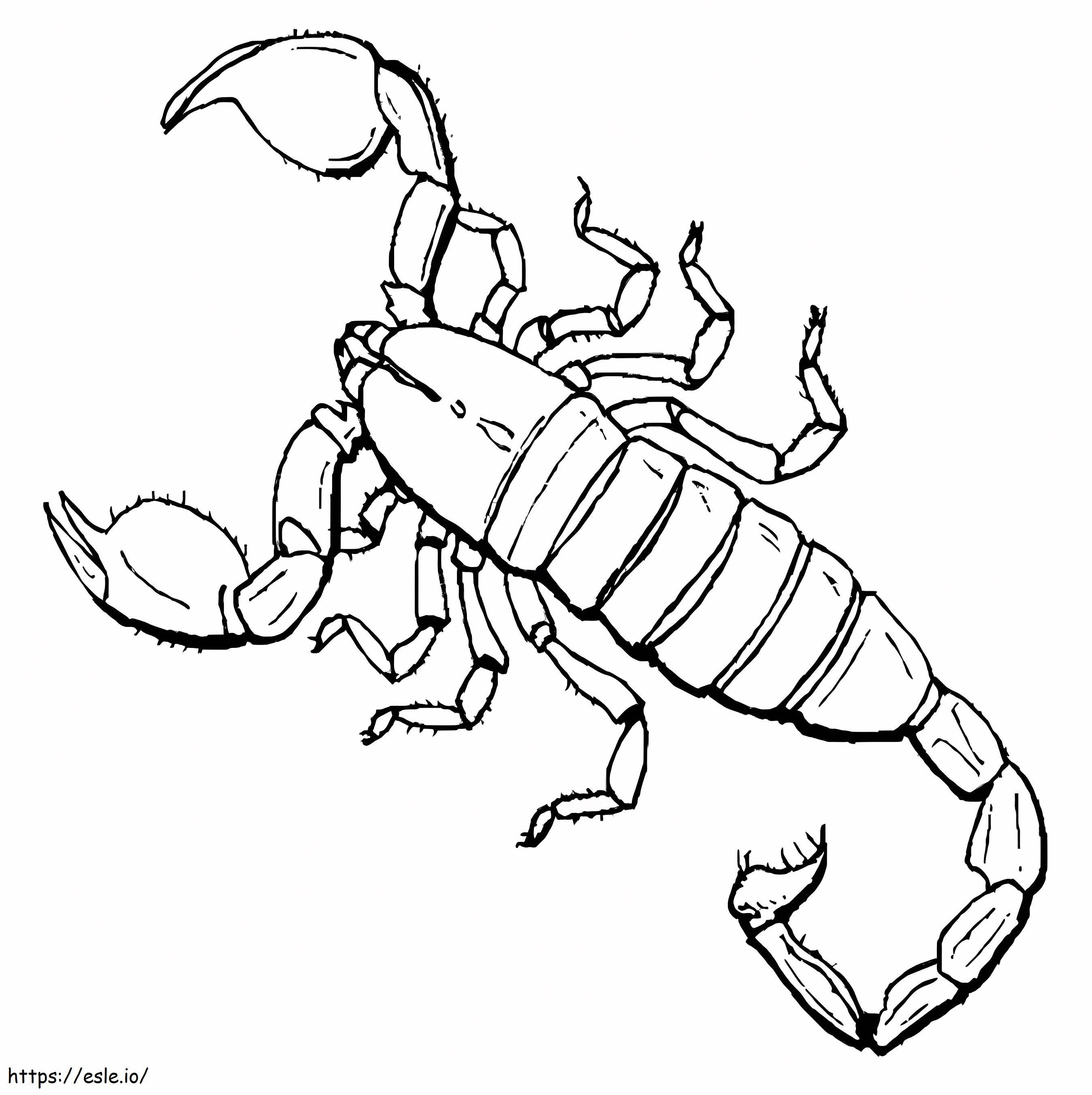 Skorpion do bezpłatnego wydruku kolorowanka
