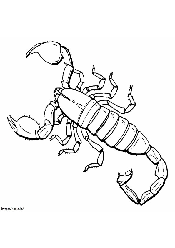 Scorpion imprimabil gratuit de colorat