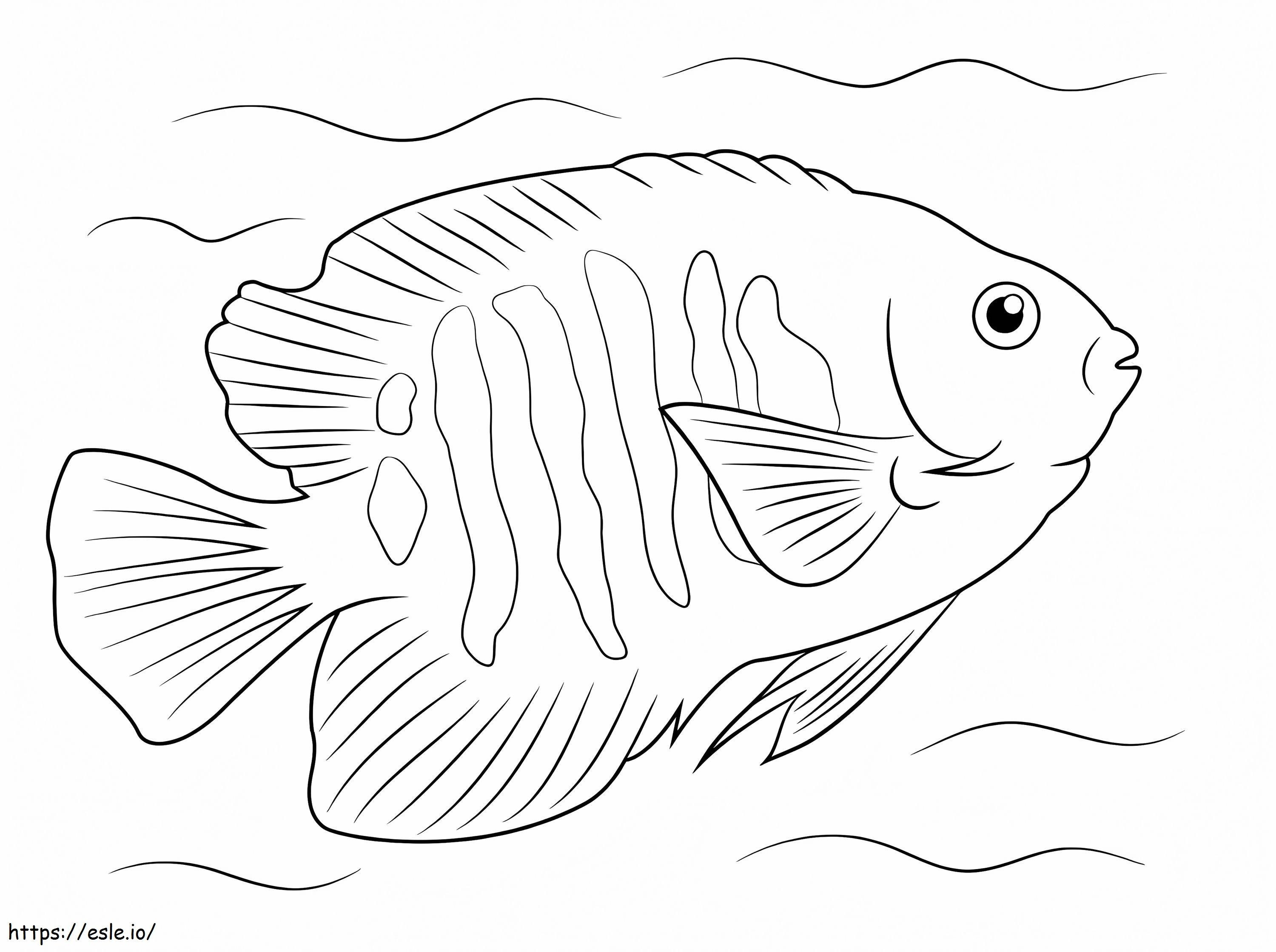 Flame Angelfish coloring page