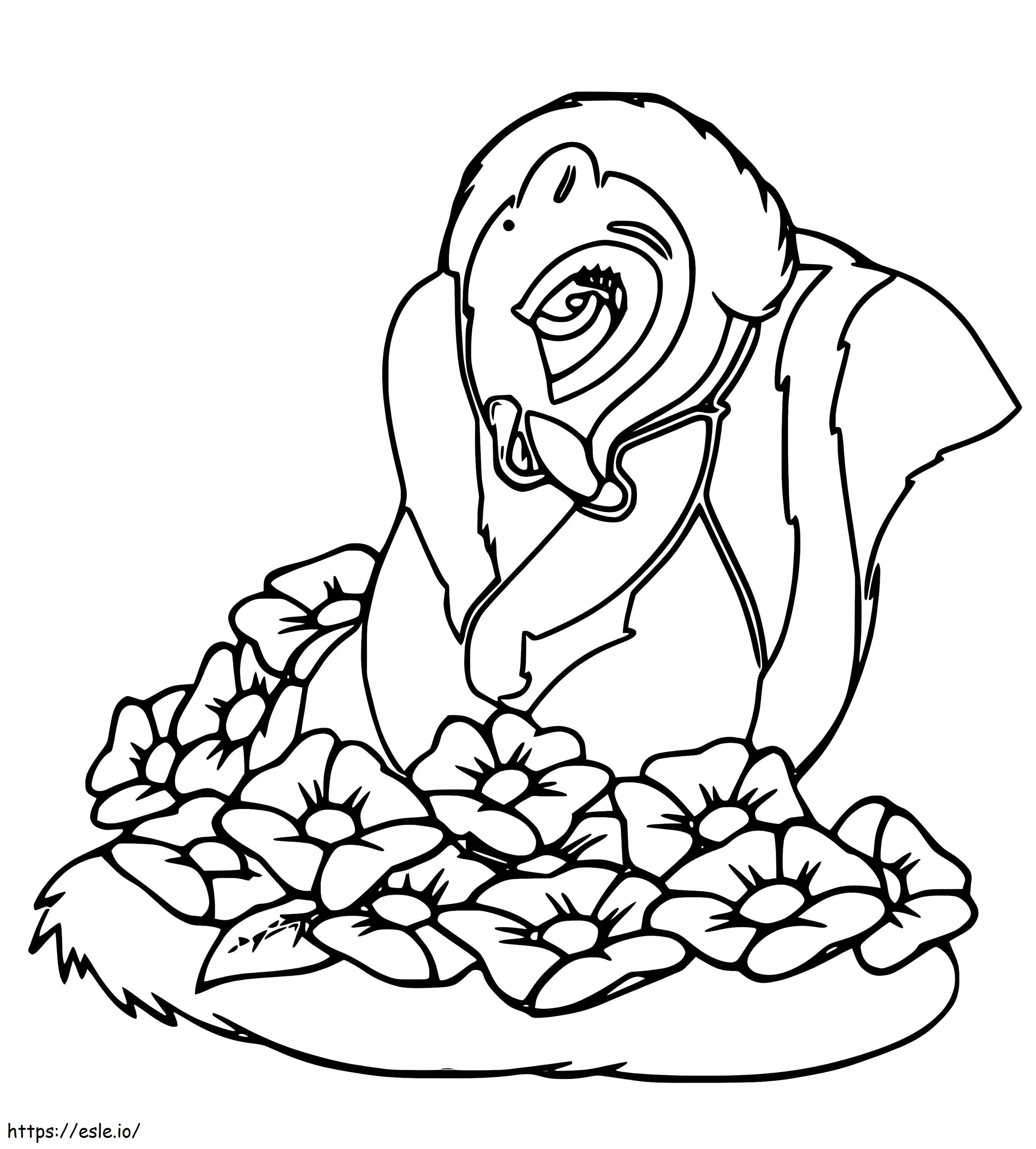 Beautiful Skunk coloring page
