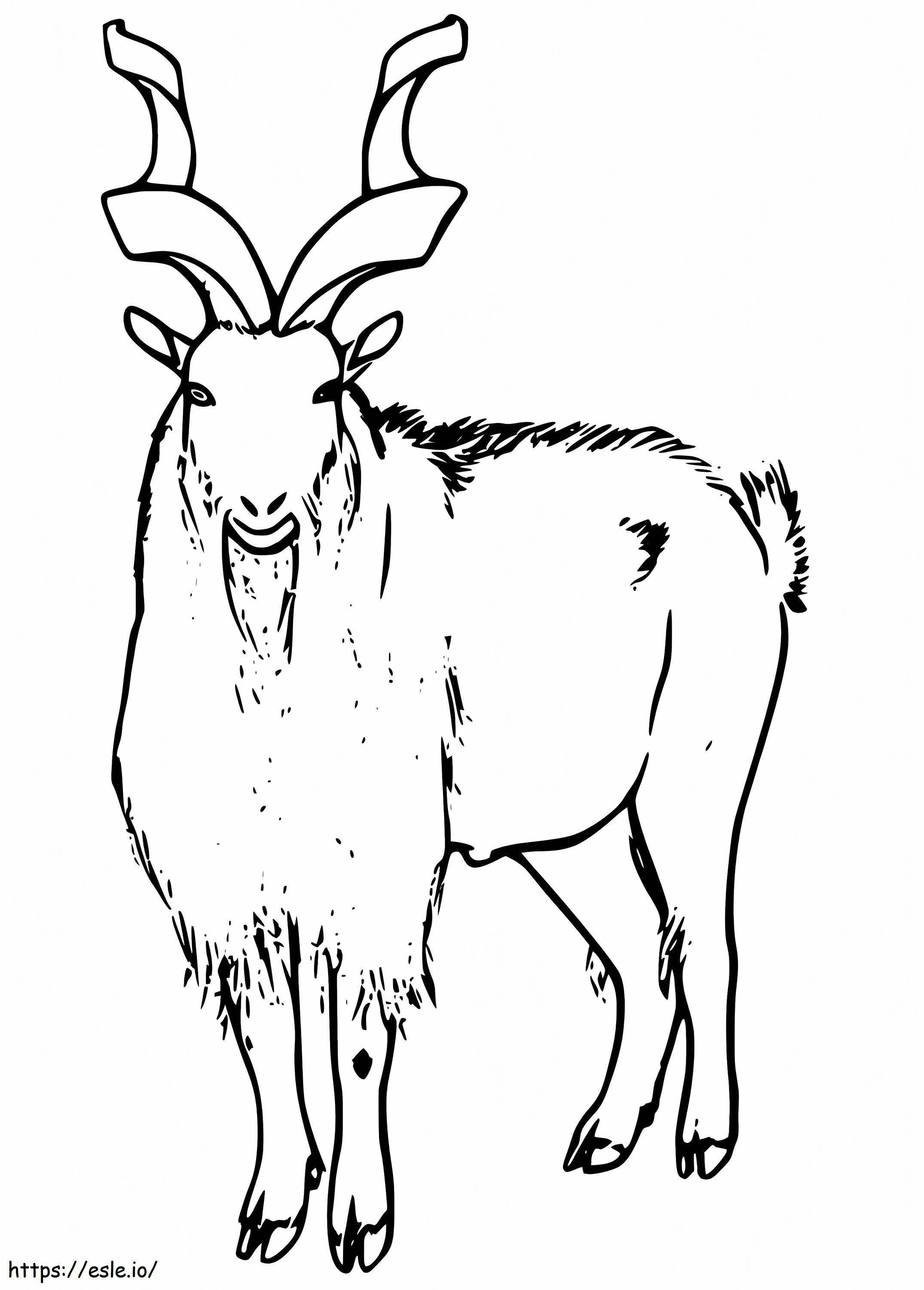 Printable Markhor coloring page
