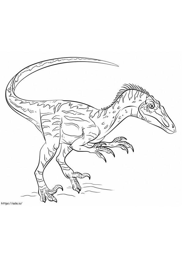 Velociraptor de colorat