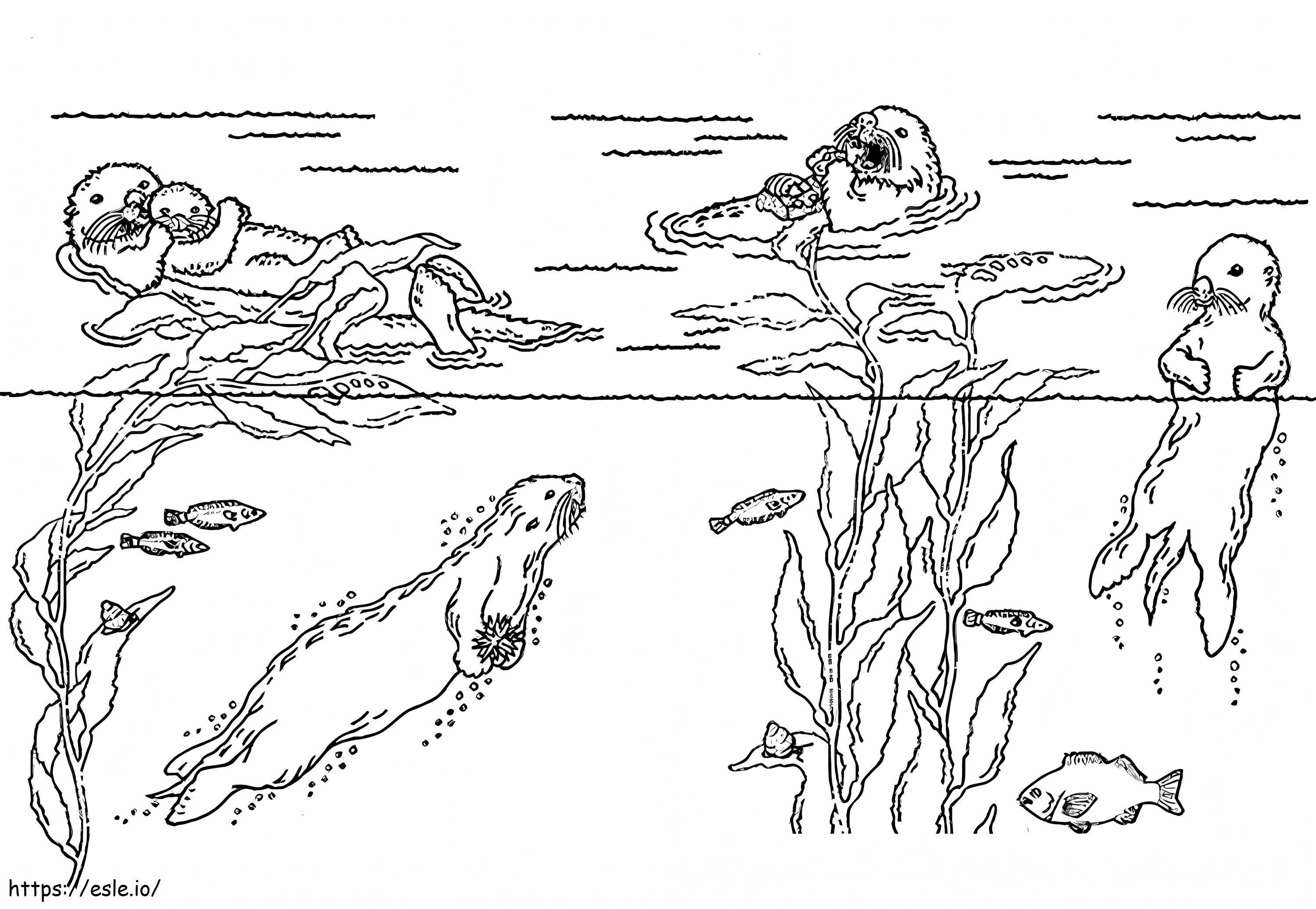 カワウソと海洋動物 ぬりえ - 塗り絵