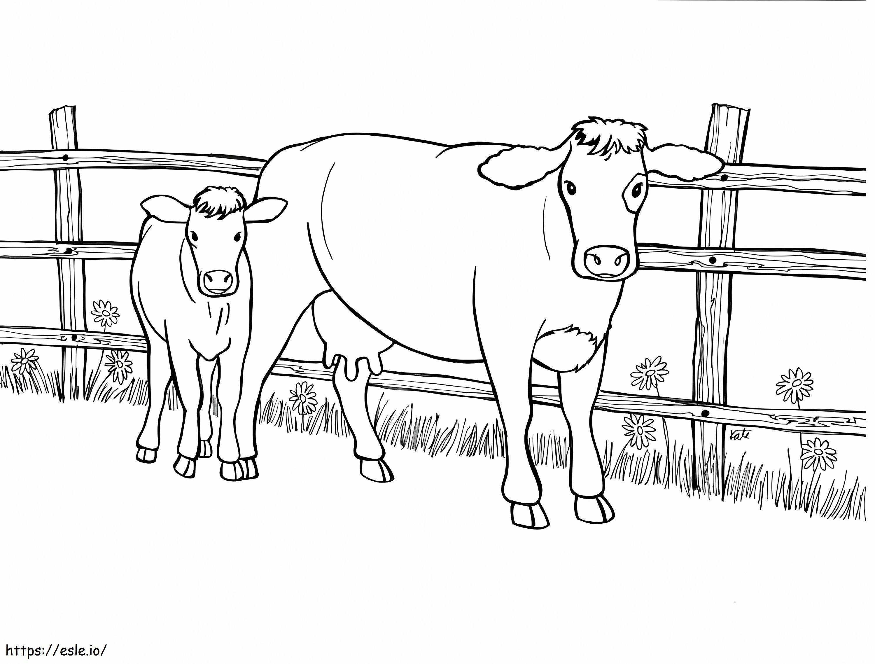 Vaca și vițelul 1 de colorat