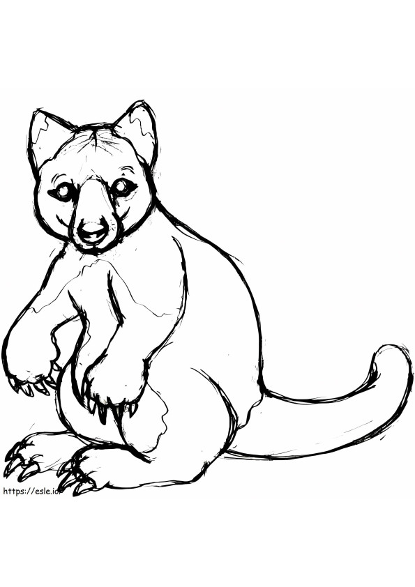 ağaç kanguru kroki boyama