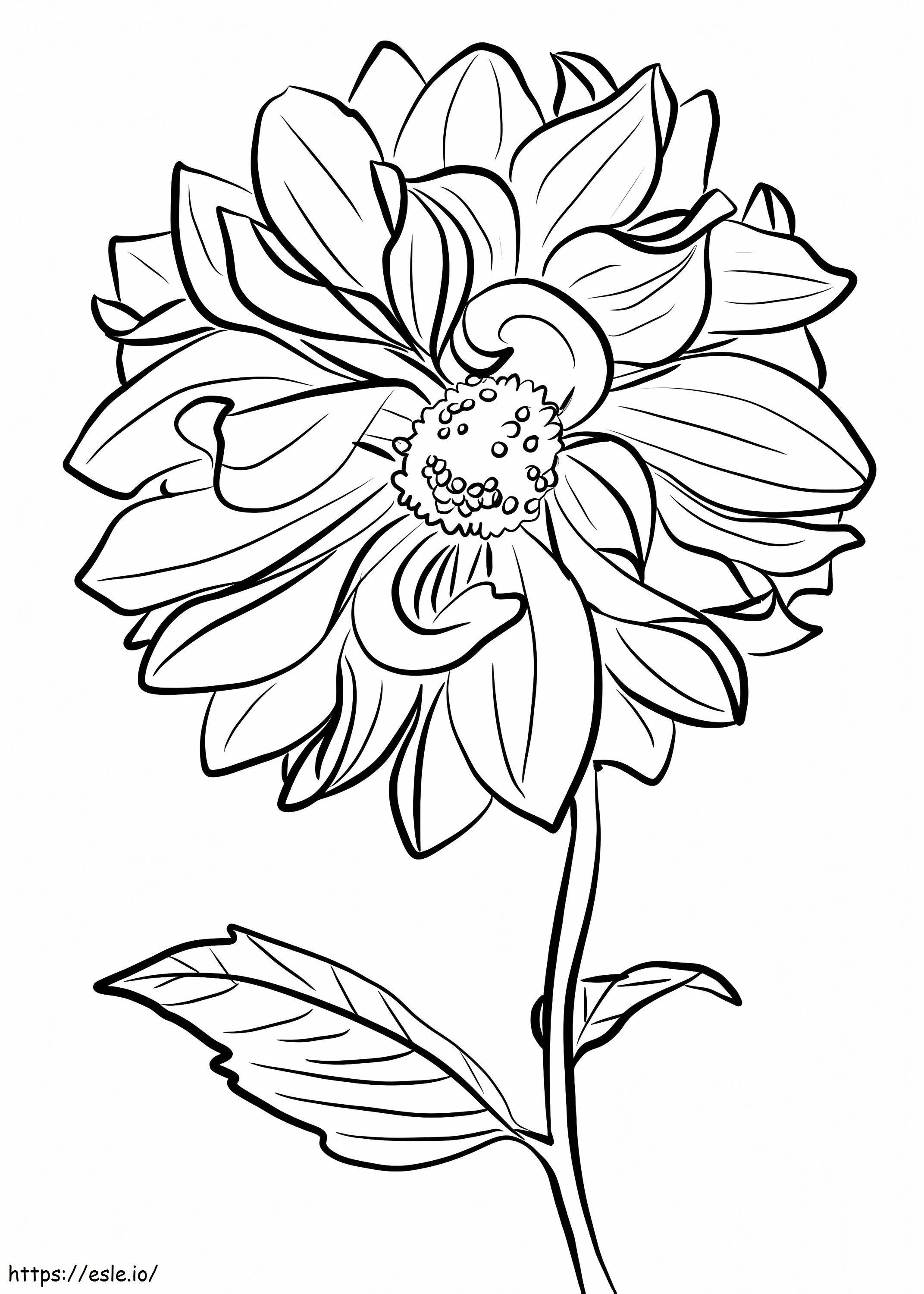Free Printable Dahlia coloring page