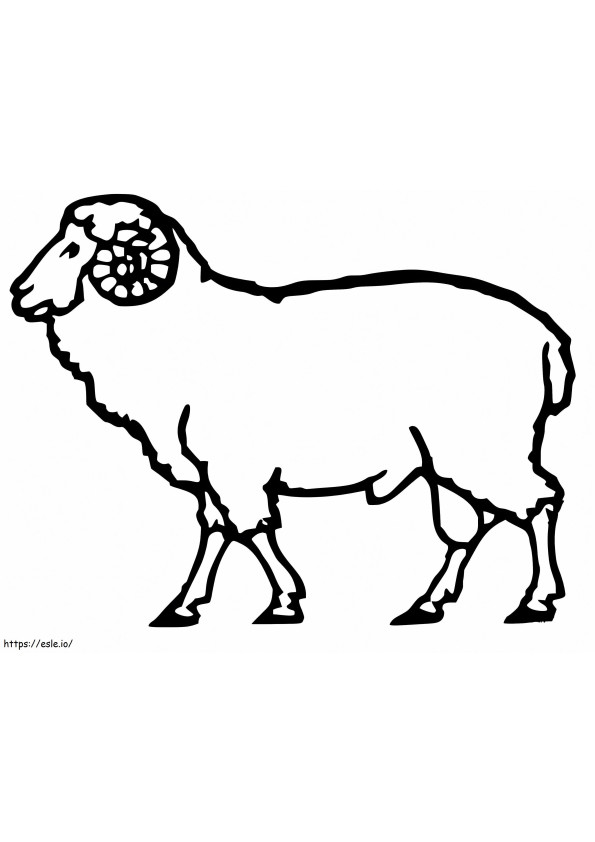 Ram Free coloring page
