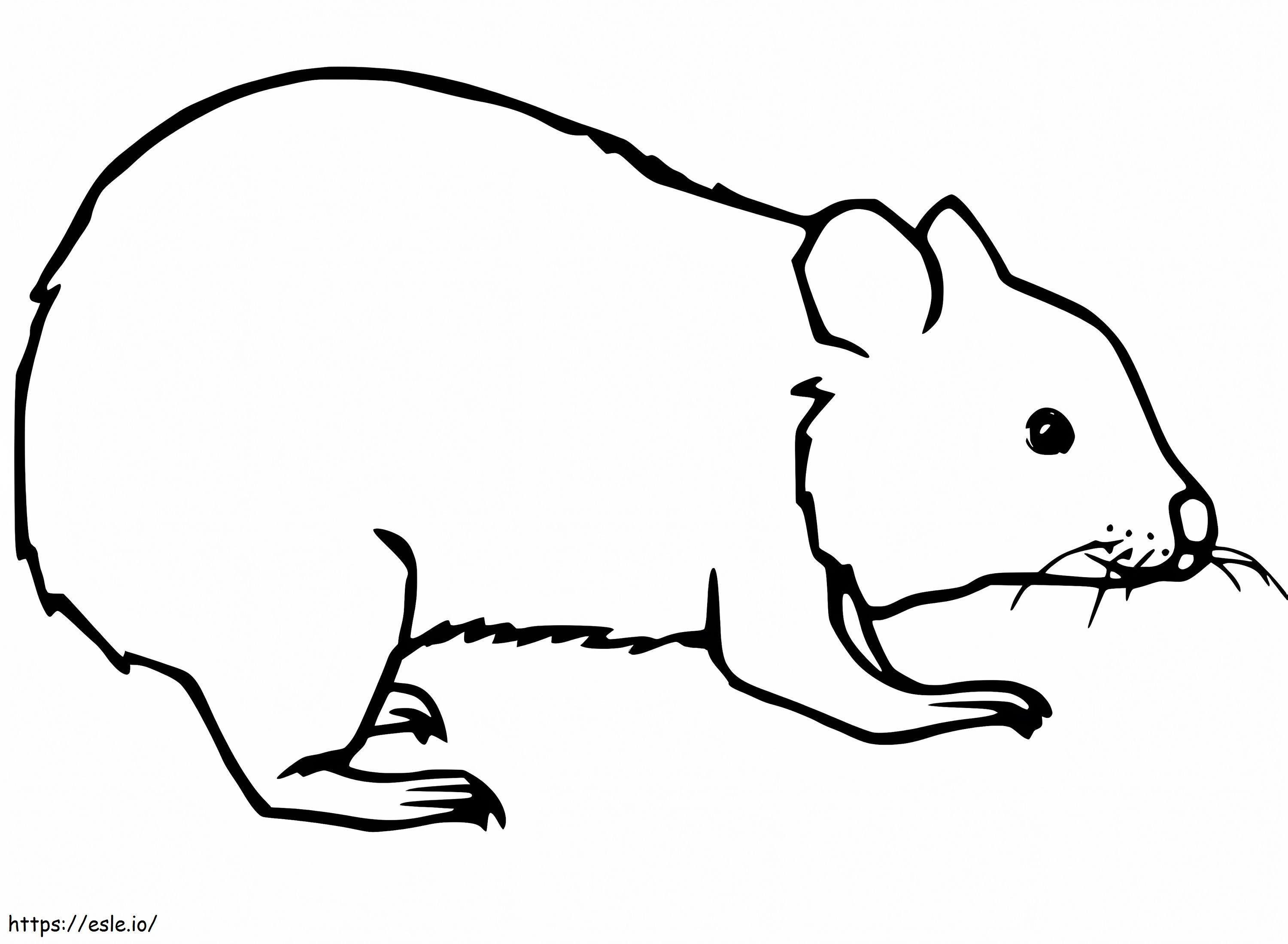 Helppo Wombat värityskuva