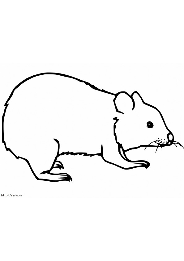Easy Wombat coloring page