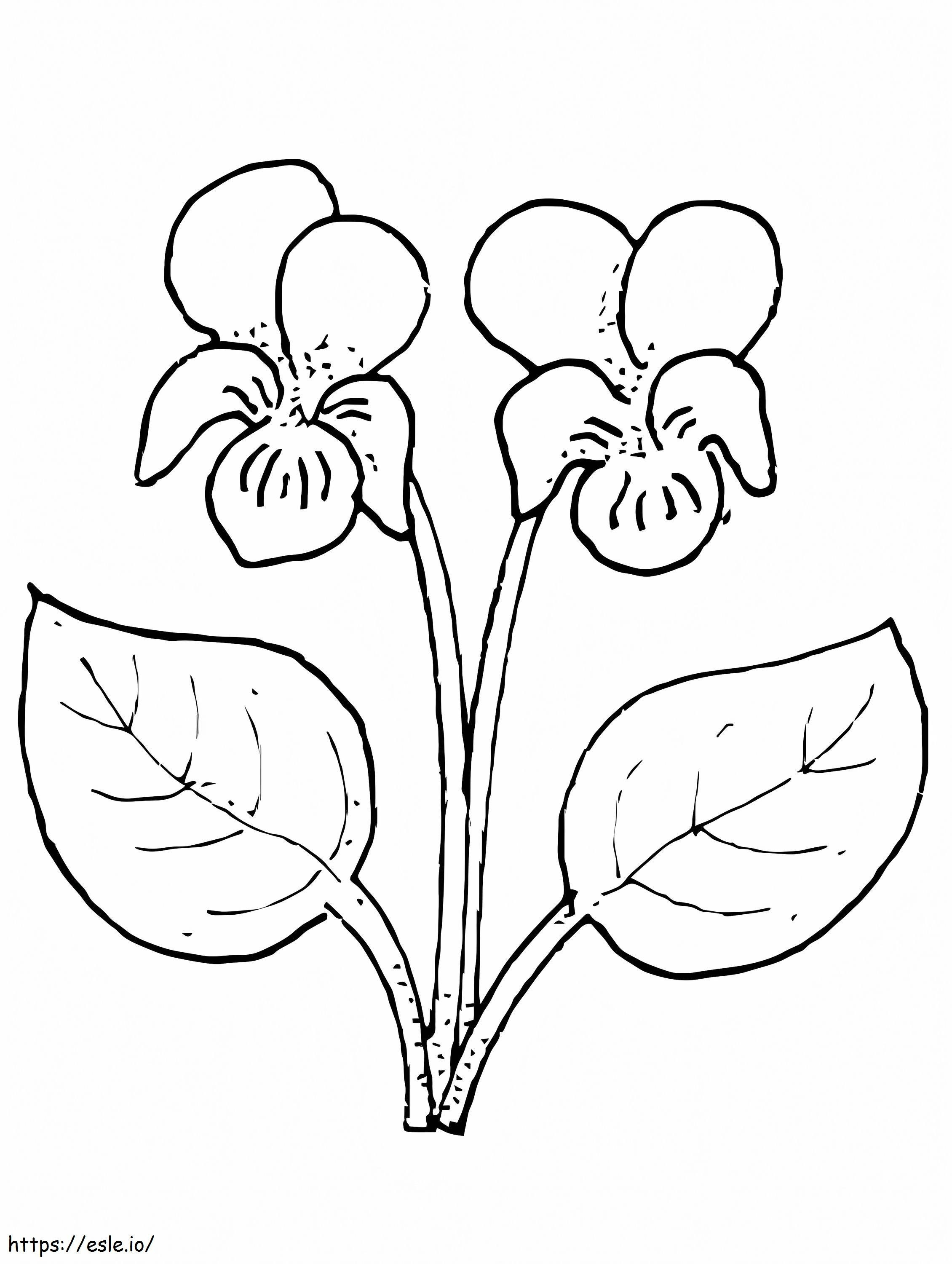 Coloriage Fleur violette 3 à imprimer dessin