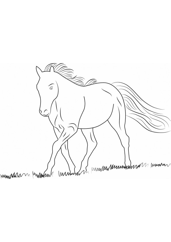 1530153936 白い馬1 ぬりえ - 塗り絵