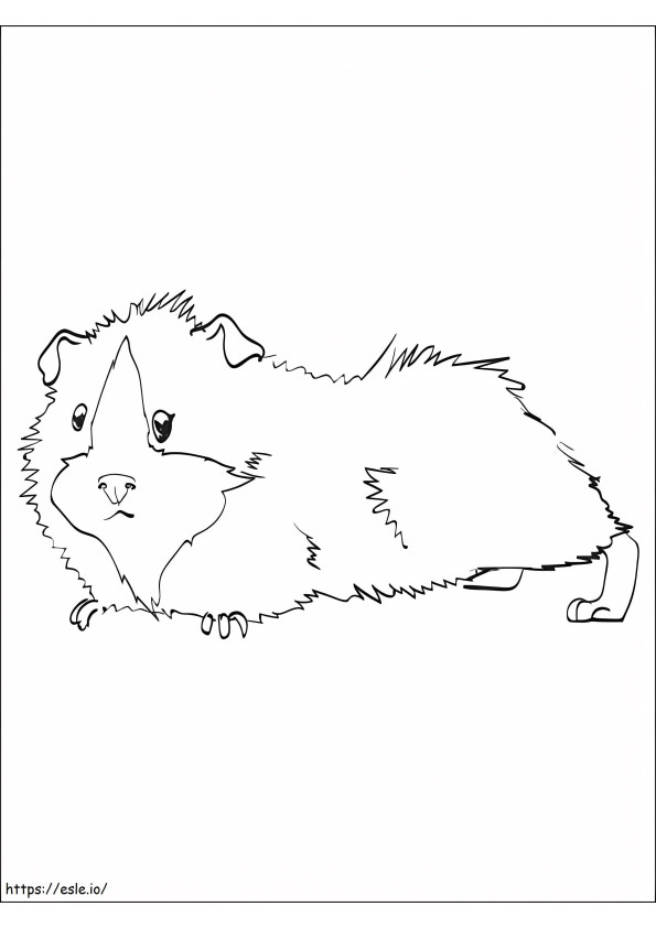 Funny Guinea Pig coloring page