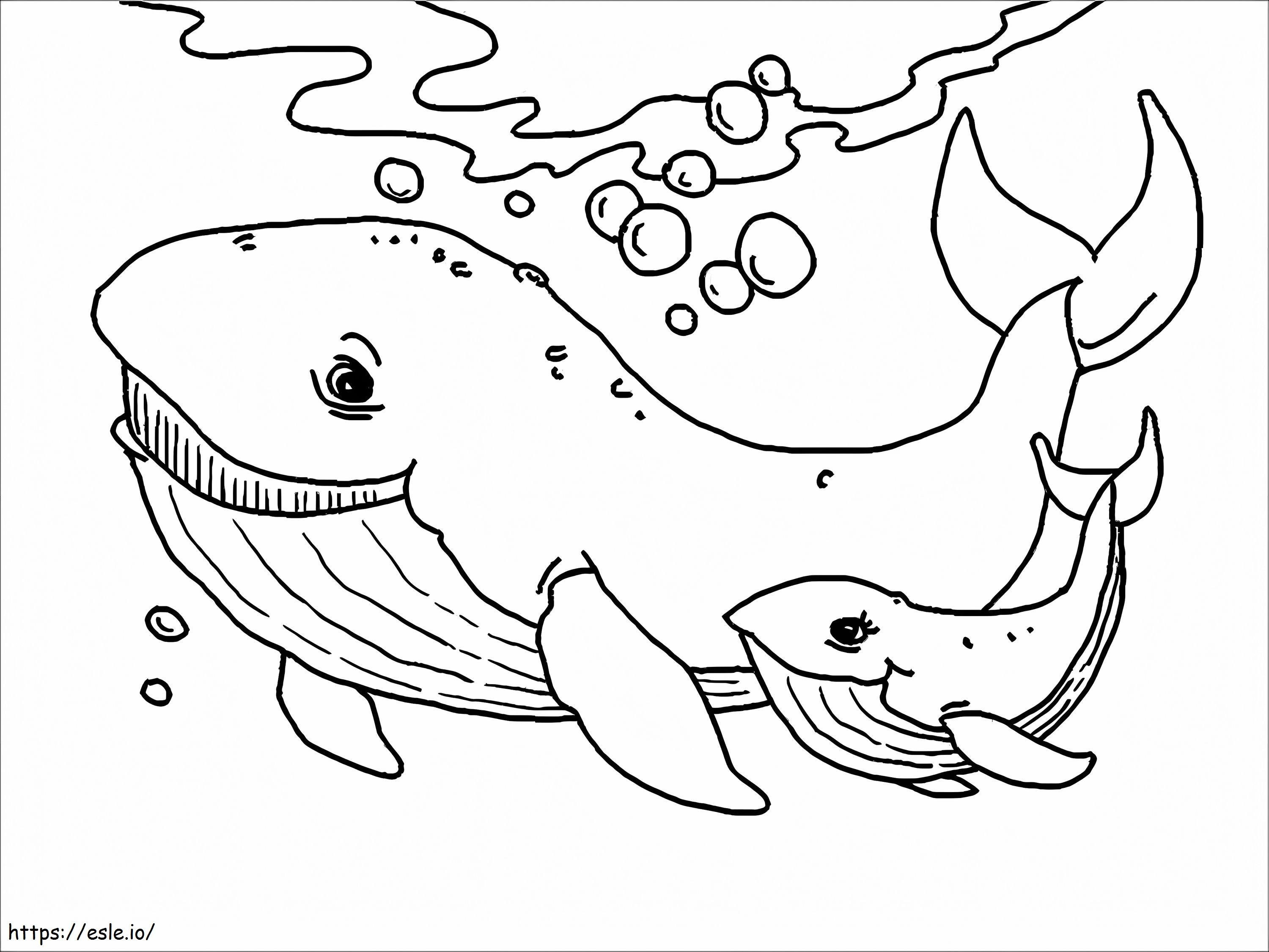 母クジラと子クジラ ぬりえ - 塗り絵