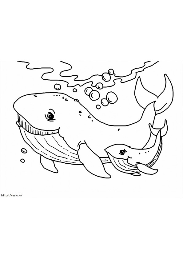 母クジラと子クジラ ぬりえ - 塗り絵