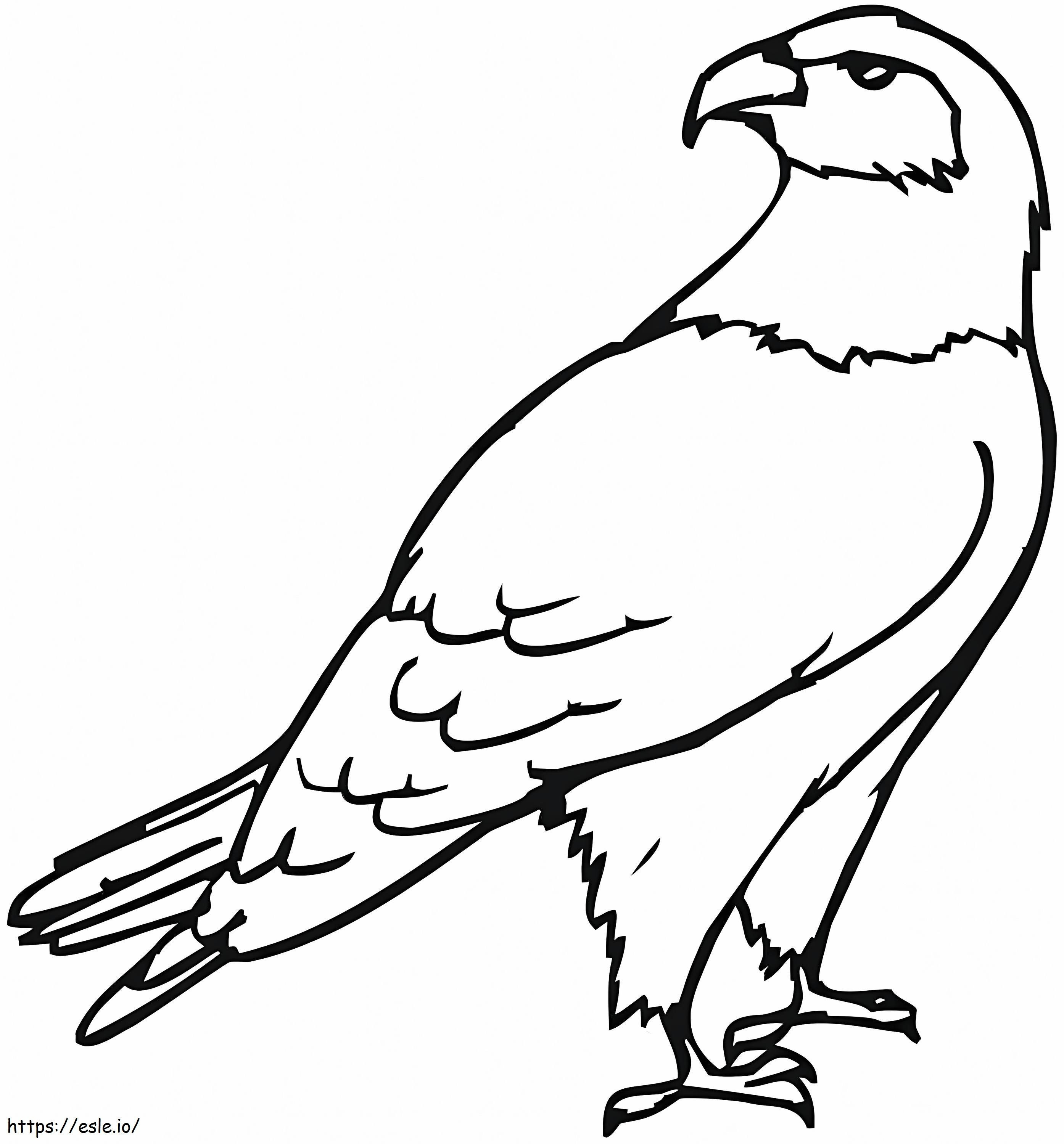 Eagle 4 Coloring Page coloring page