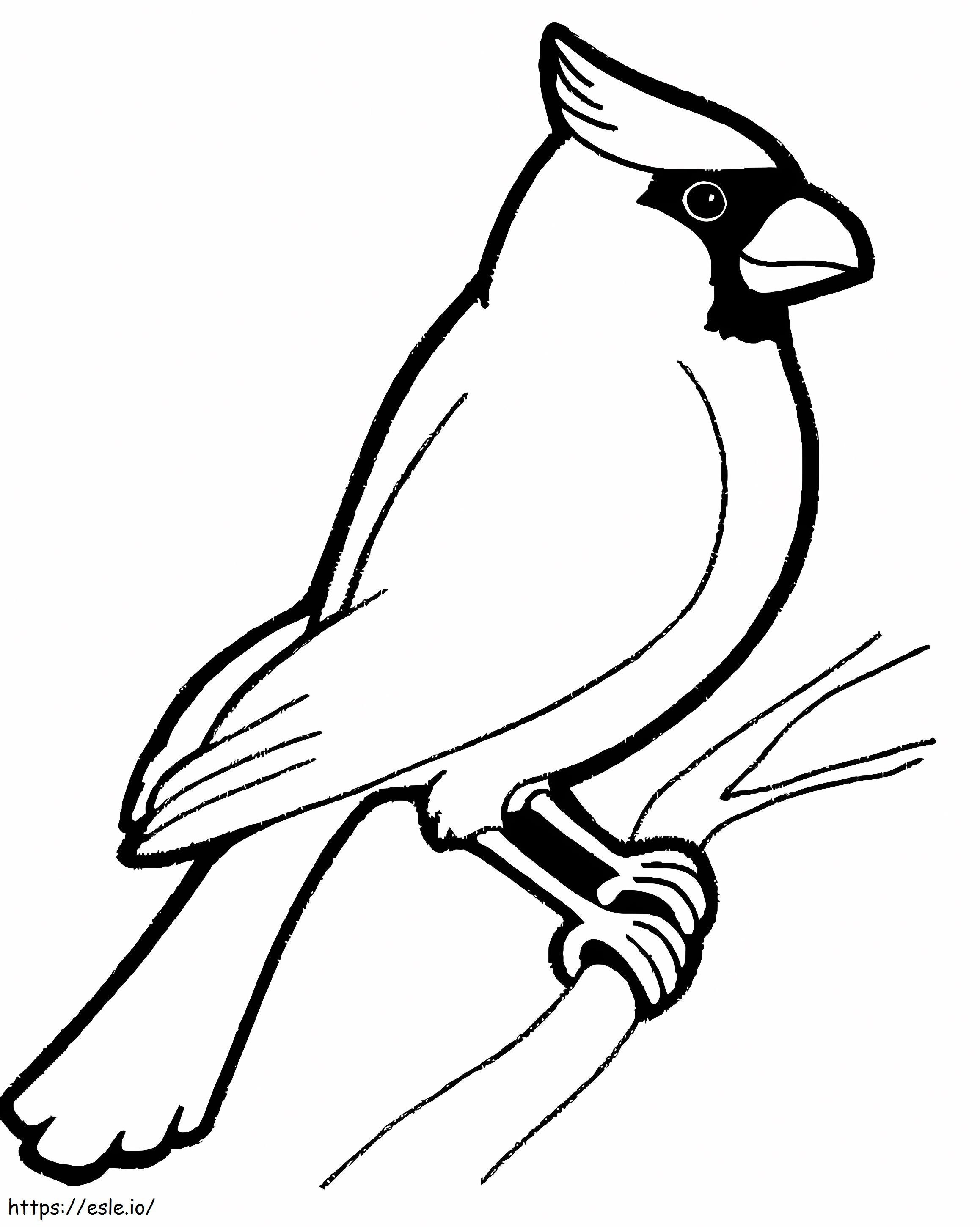 Cardinal On A Branch coloring page