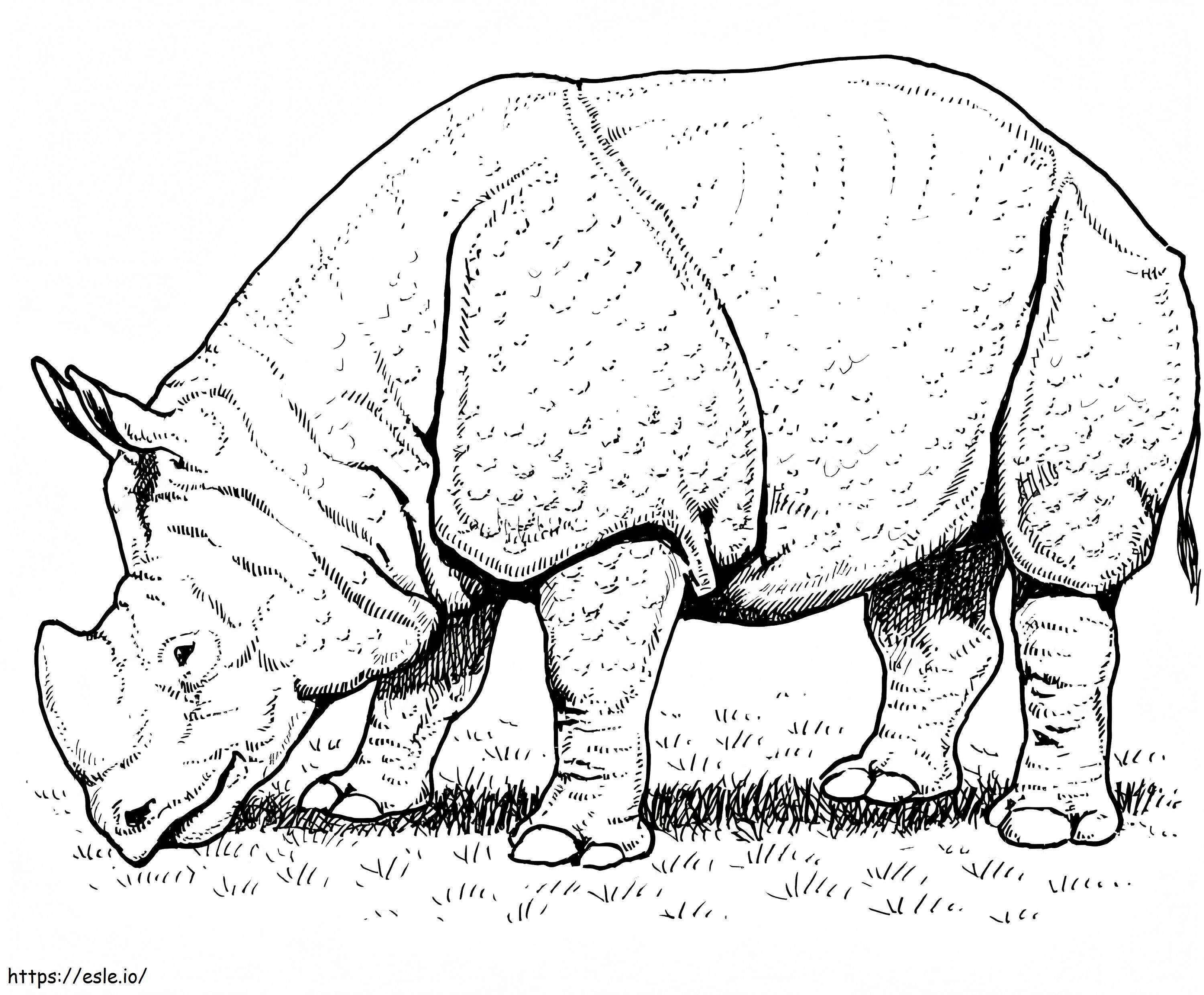 Coloriage Rhinocéros indien à imprimer dessin
