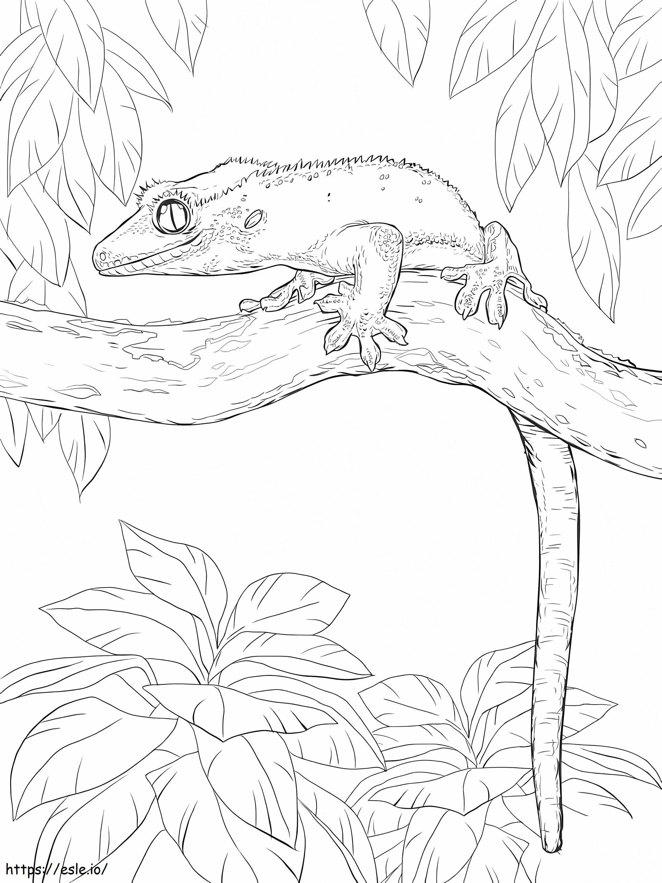 Gecko crestado en un árbol para colorear