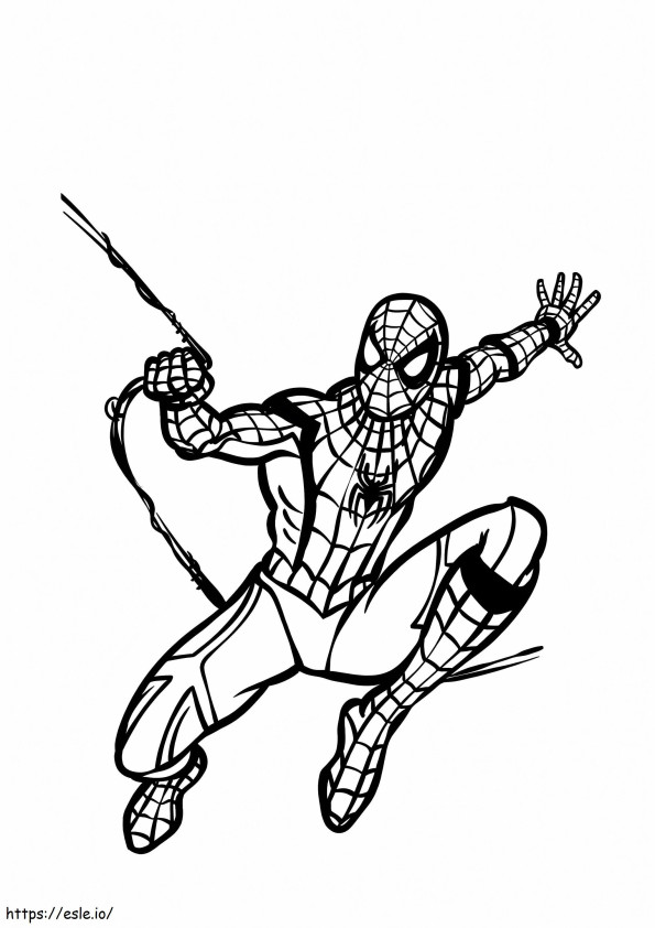 Basic Drawing Of Spider Man coloring page