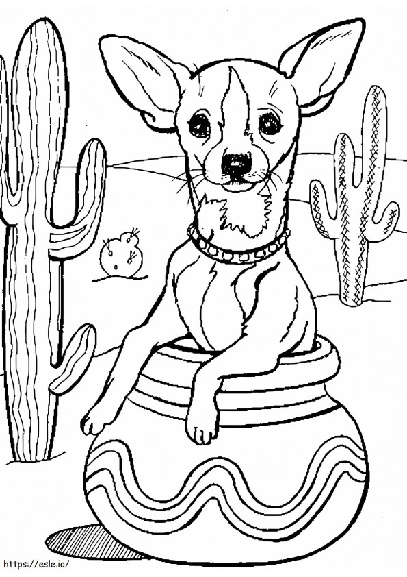 Coloriage Chihuahua dans le désert à imprimer dessin