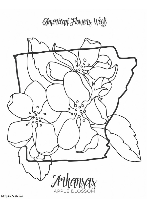 Bunga Negara Bagian Bunga Apel Arkansas