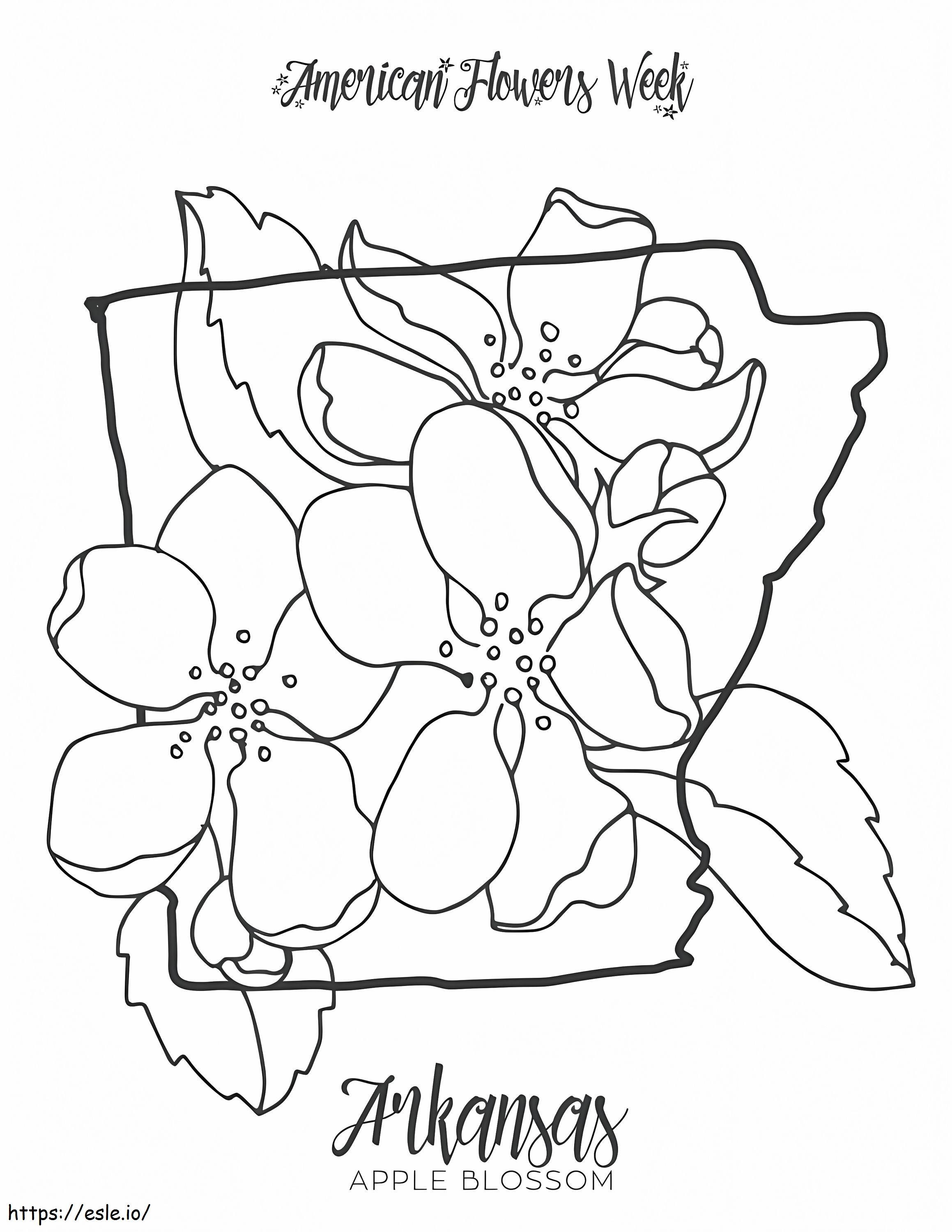 Arkansas Apple Blossom State Flower coloring page