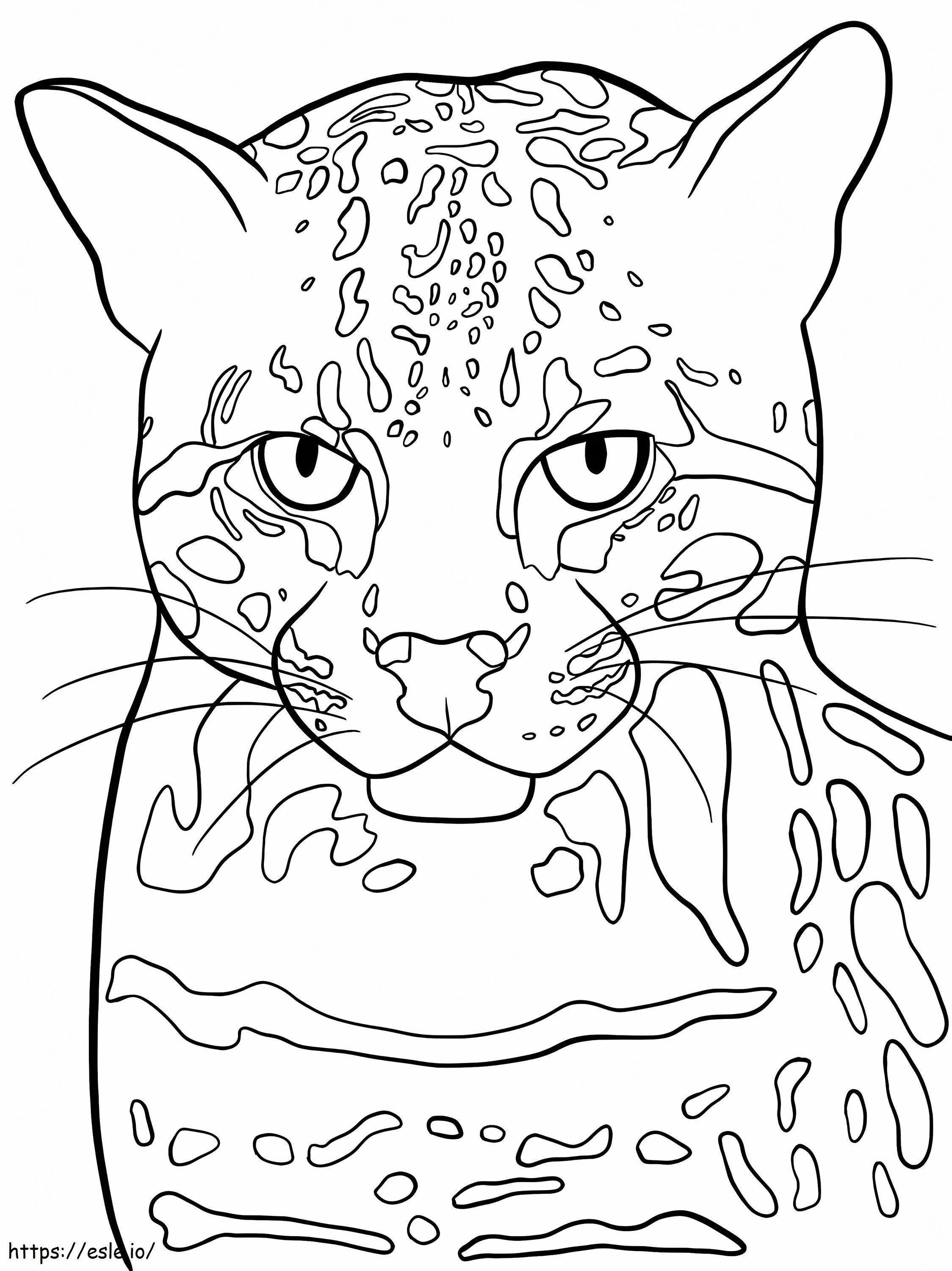 Faccia di gattopardo da colorare