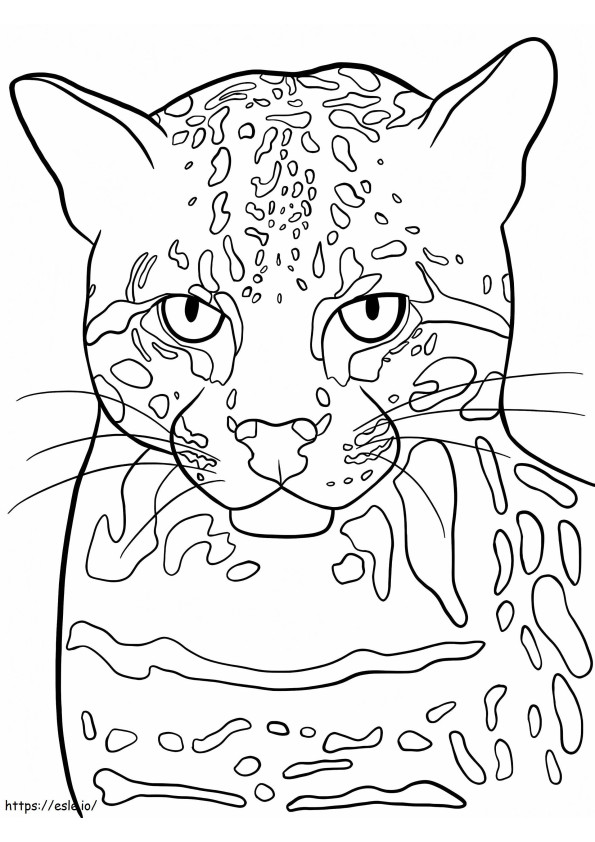Faccia di gattopardo da colorare
