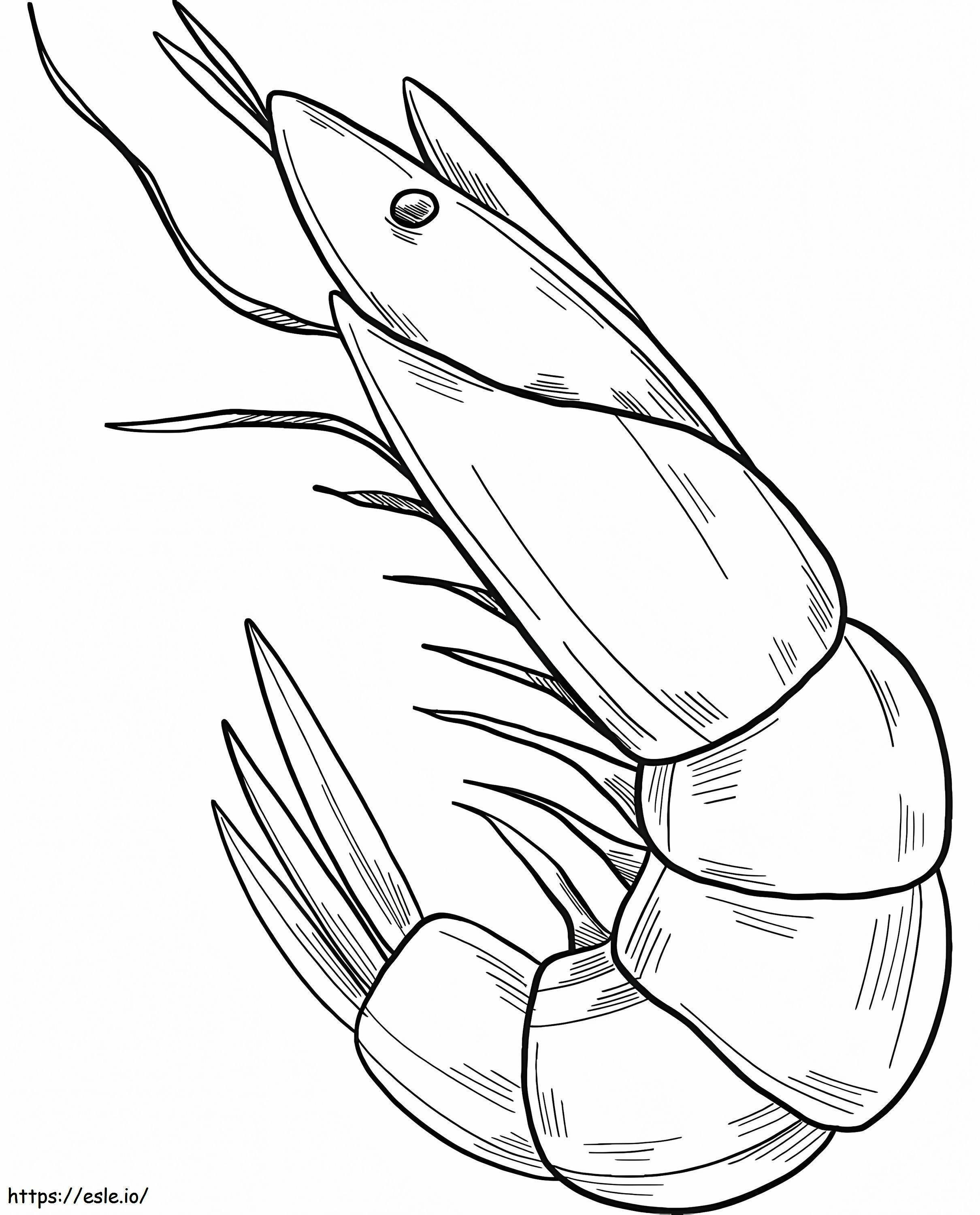 Normal Shrimp coloring page