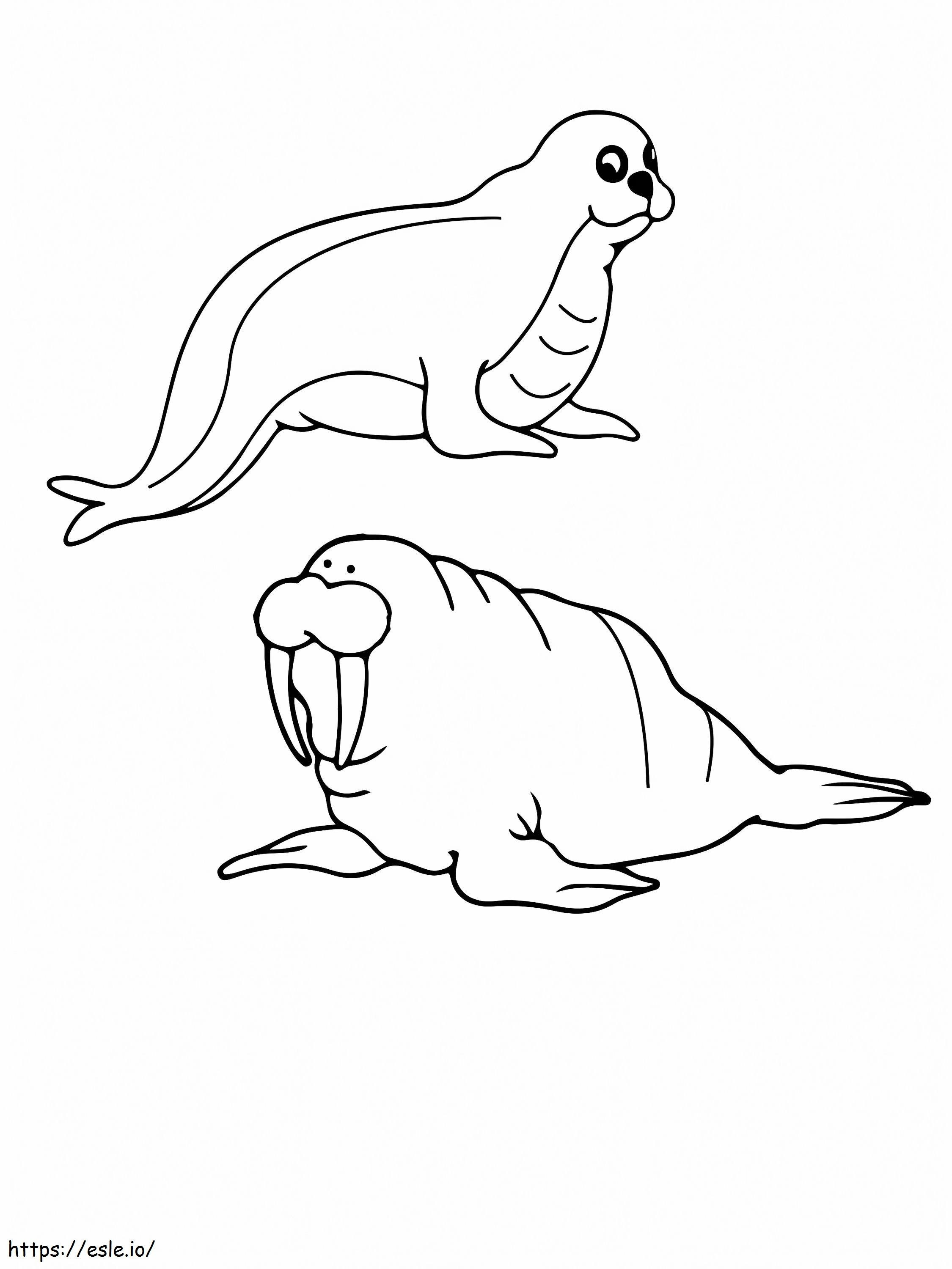 Mursu ja merileijona arktiset eläimet värityskuva