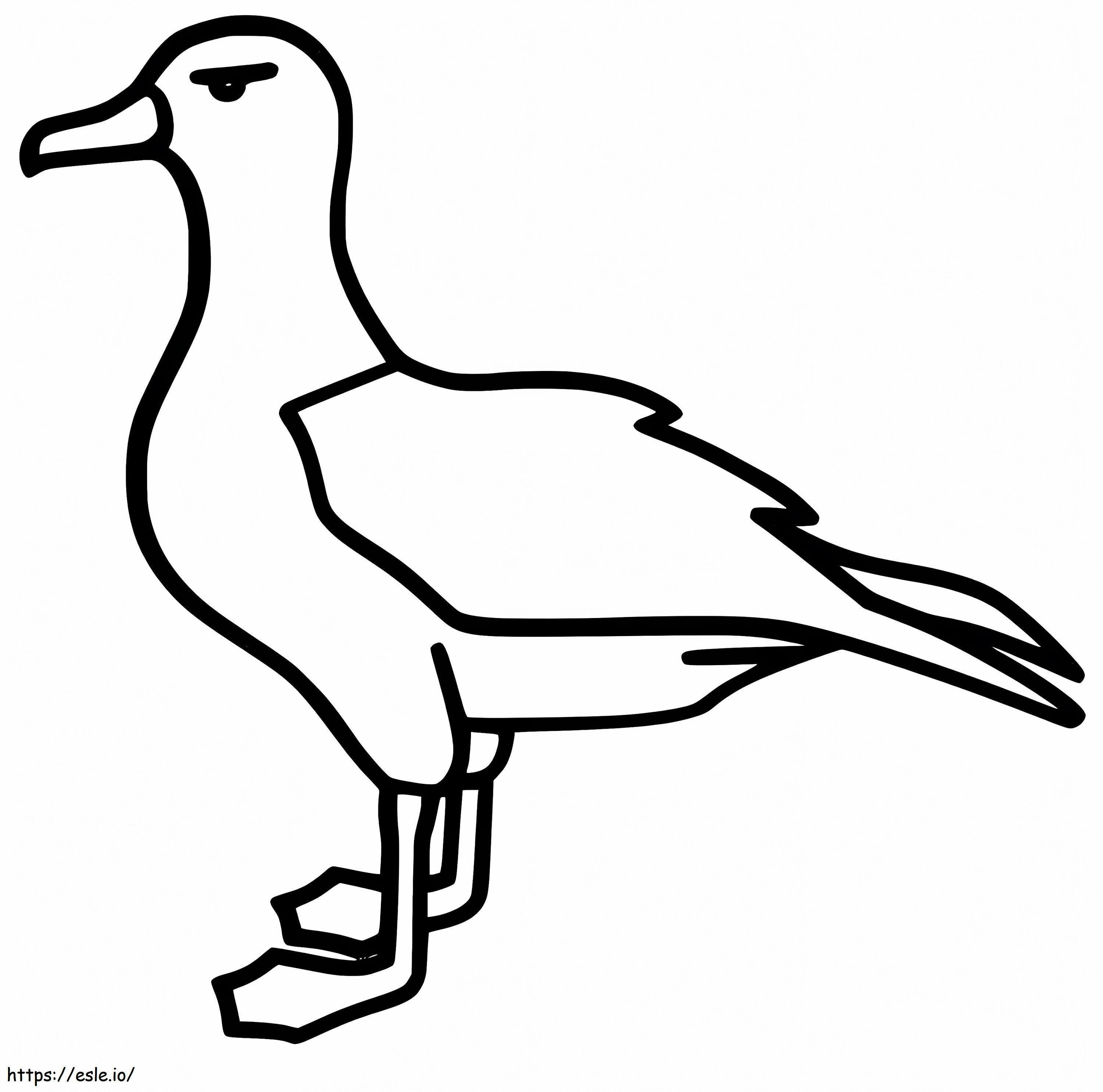 Albatros imprimible para colorear