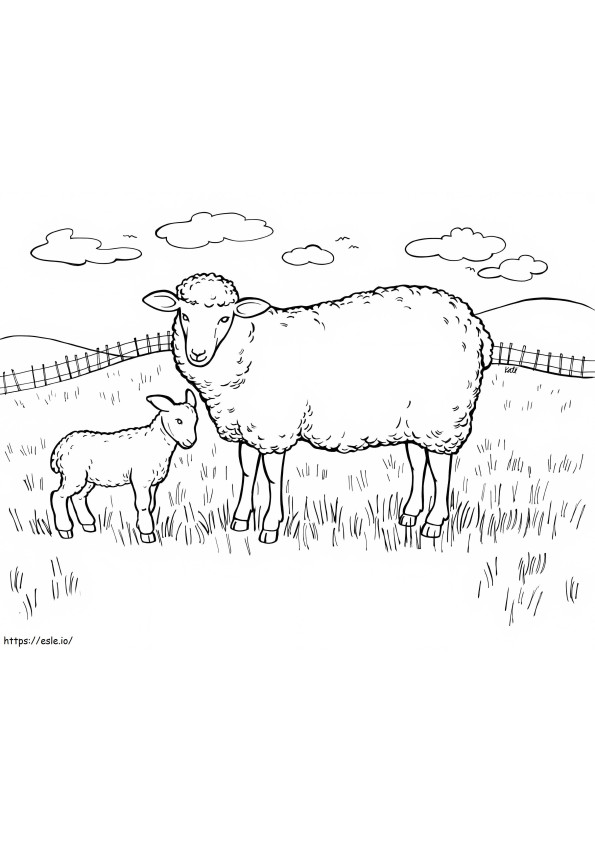 Mãe ovelha e pequena ovelha para colorir