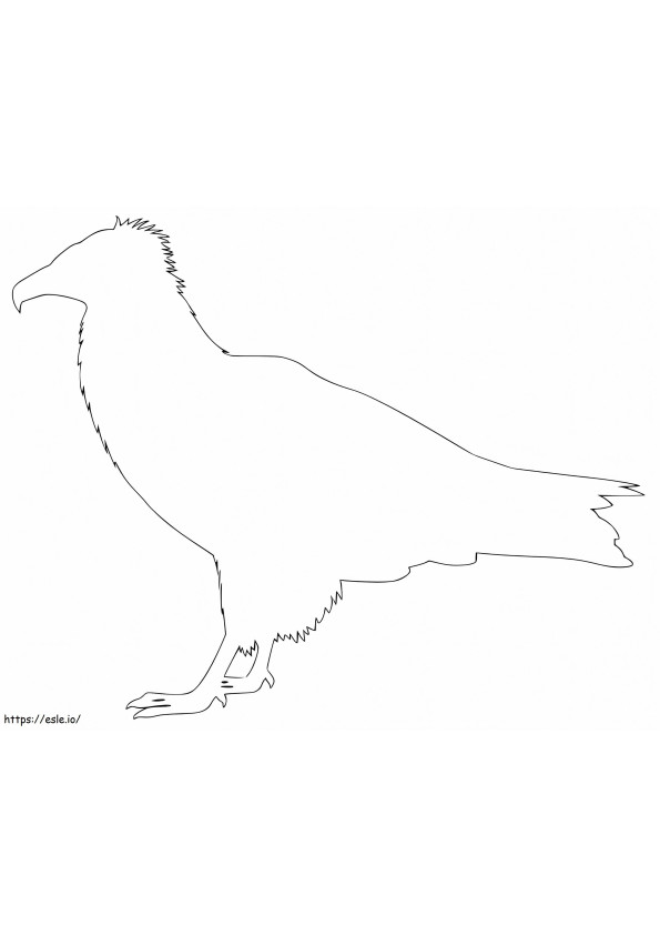 Outline Vulture coloring page