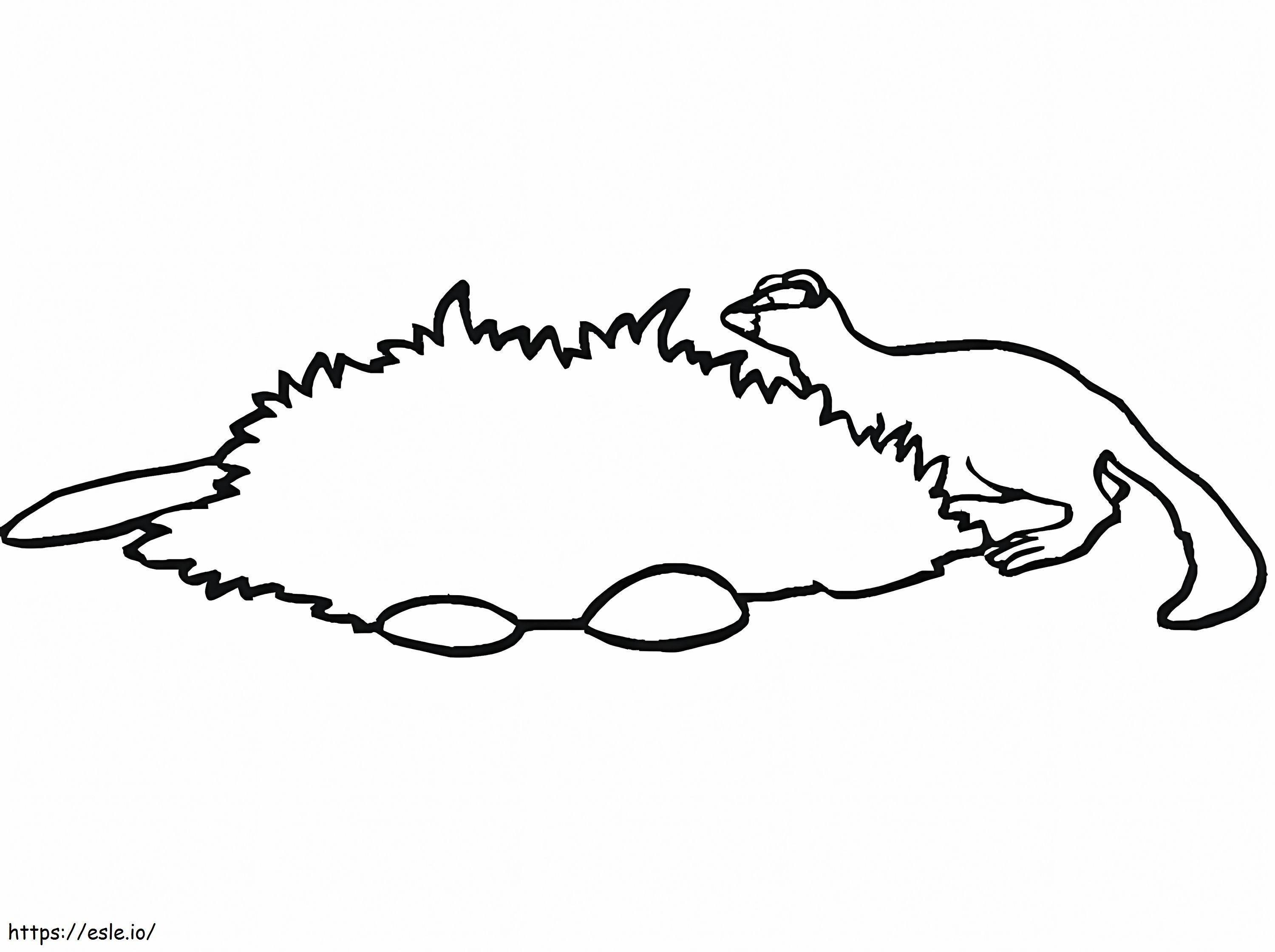 Printable Mink coloring page