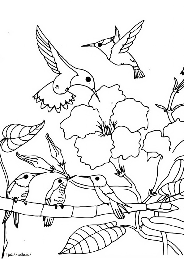Grundlegende Familie von Kolibris auf dem Baum ausmalbilder