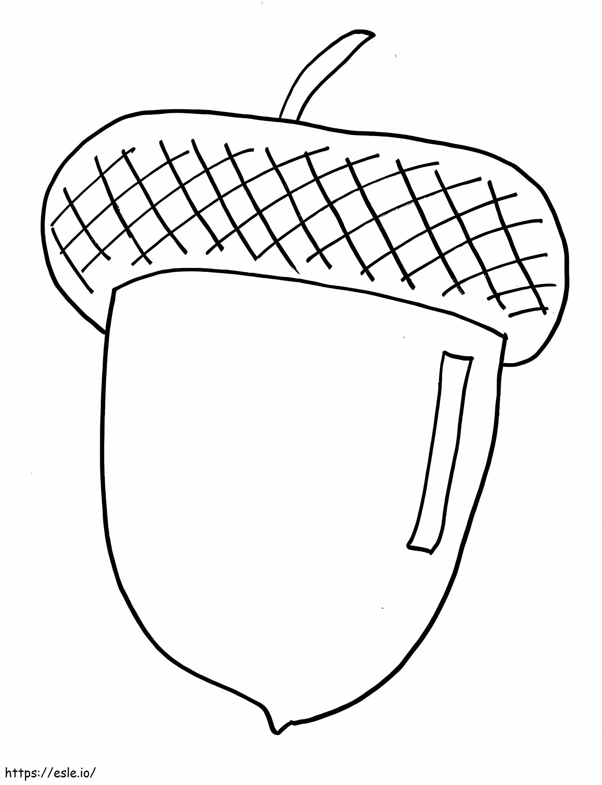 Acorn Drawing coloring page