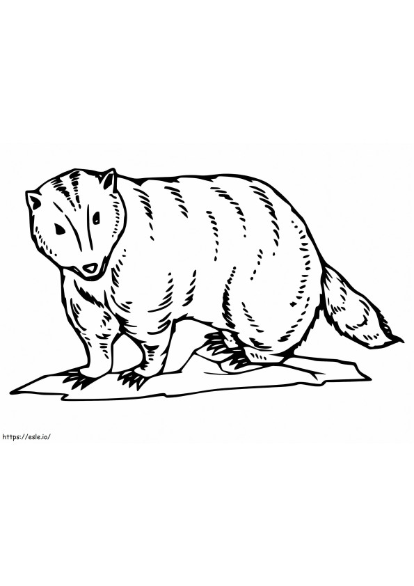 Basic Badger coloring page