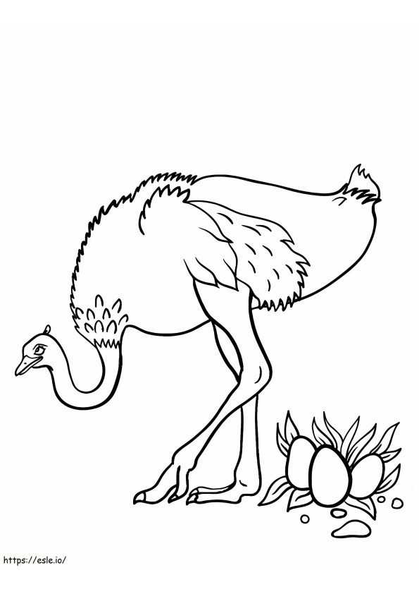 Struisvogel En Eieren kleurplaat