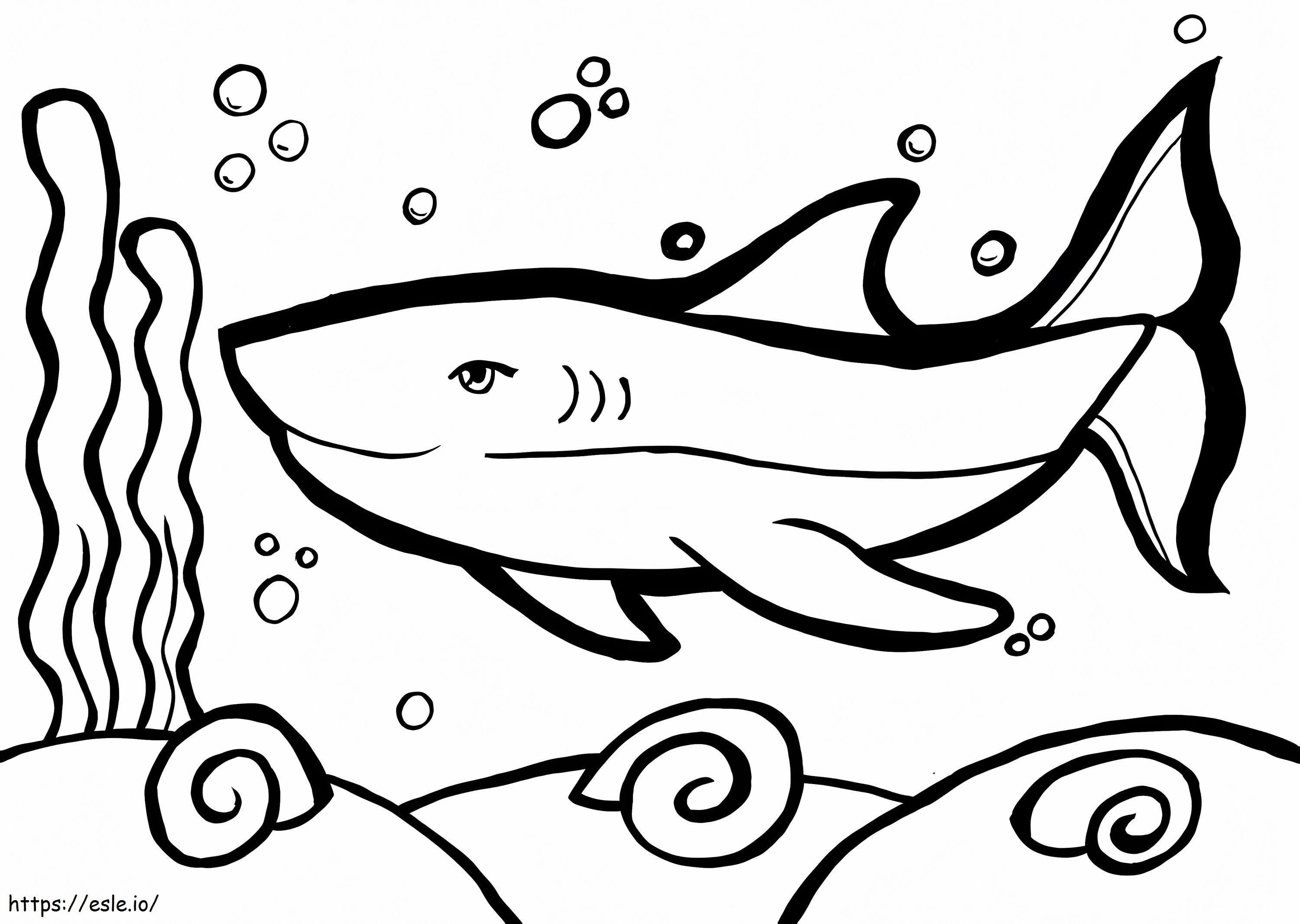 Little Shark coloring page