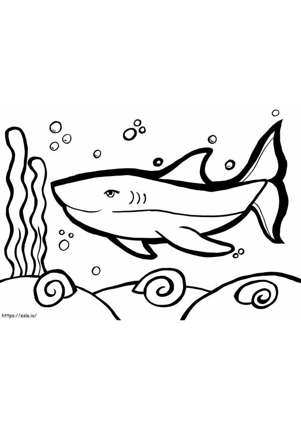 Coloriage Petit requin à imprimer dessin
