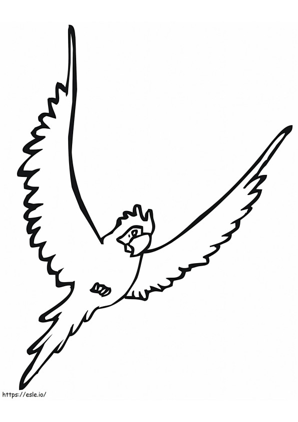 Coloriage Perruche Oiseau à imprimer dessin