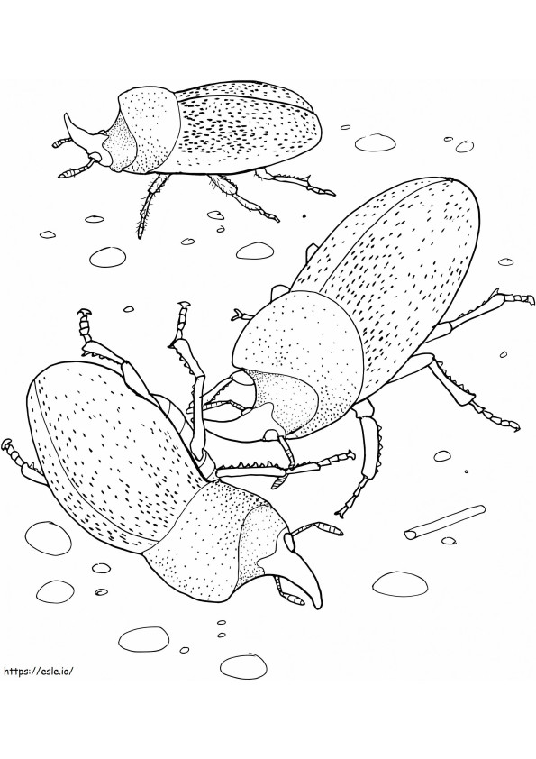 Rhinoceros Beetles coloring page