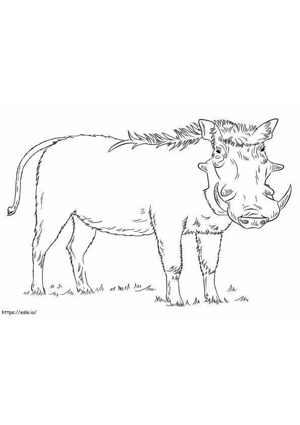 Normal Warthog coloring page