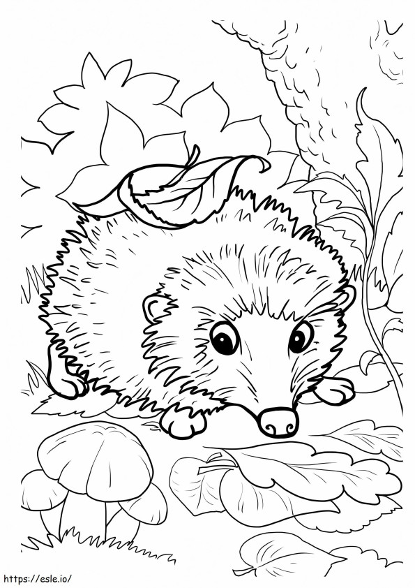Hedgehog Leaf coloring page