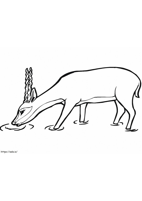 Oryx-Antilope ausmalbilder