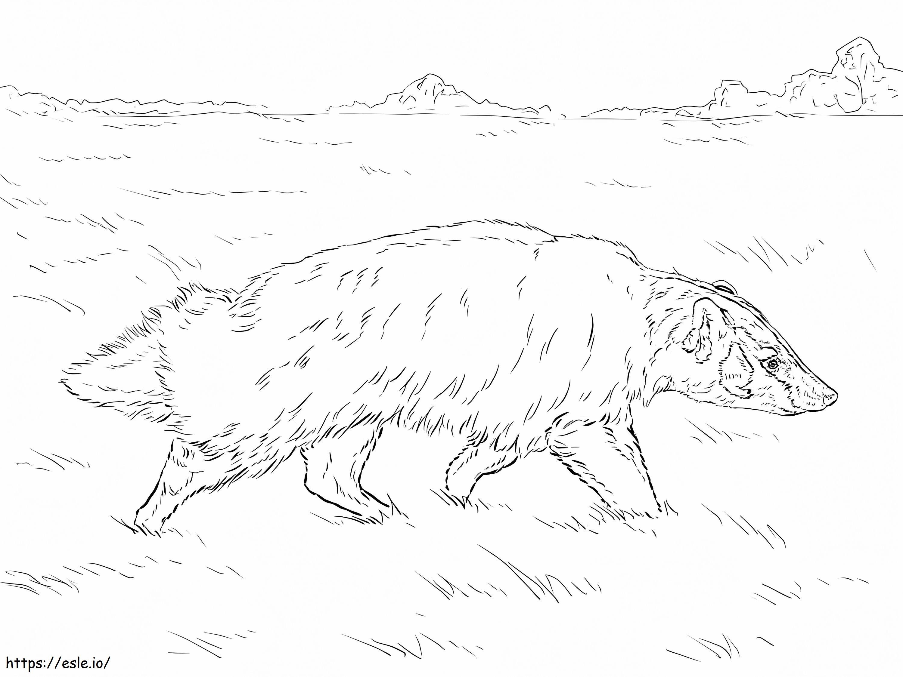 Gambar Mewarnai Badger Dalam Bahasa Amerika - Gratis Untuk Dicetak