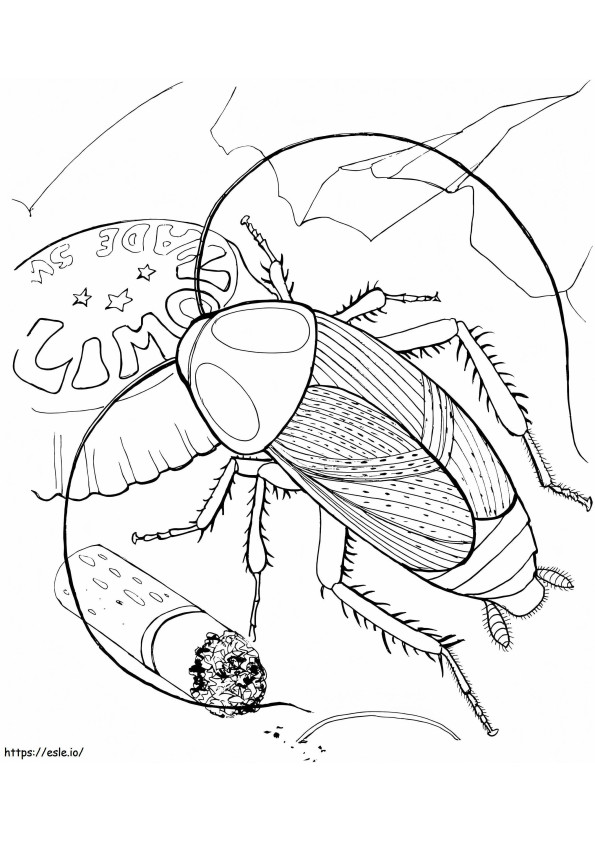 Kakkerlak En Afval kleurplaat