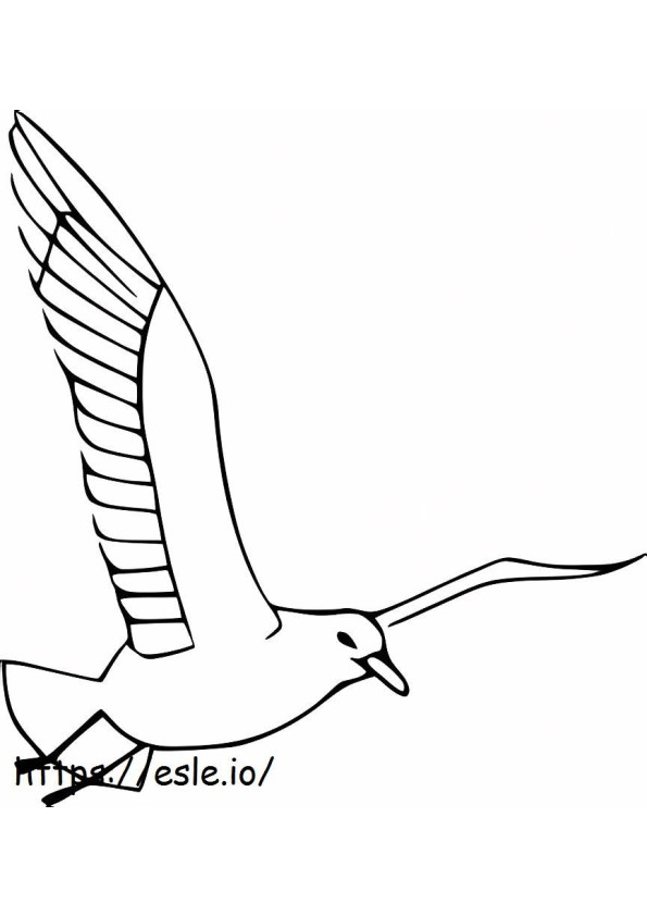Cool Seagull Flying coloring page